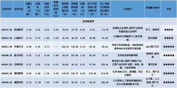 聚焦科創(chuàng)首批五星新股 計(jì)算機(jī)軟硬件技術(shù)開(kāi)發(fā)引領(lǐng)創(chuàng)新浪潮