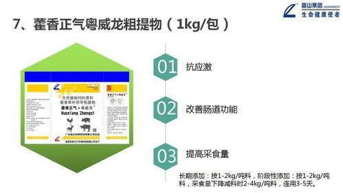 大力推進一體化形象服務體系建設，推動高山中獸藥向更高水平發(fā)展——信息系統(tǒng)運行維護服務篇